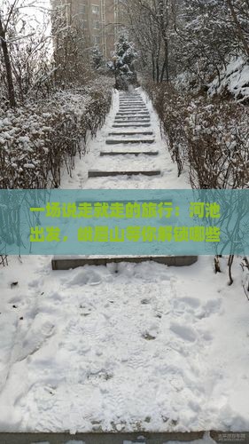 一场说走就走的旅行：河池出发，峨眉山等你解锁哪些惊喜？