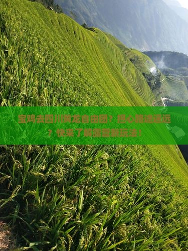 宝鸡去四川黄龙自由团？担心路途遥远？快来了解露营新玩法！