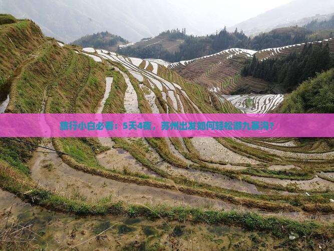 旅行小白必看：5天4夜，苏州出发如何轻松游九寨沟？