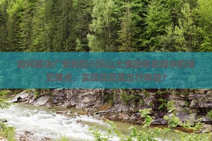 如何解决广安到四川乐山大佛团体旅游中的常见痛点，实现高品质出行体验？