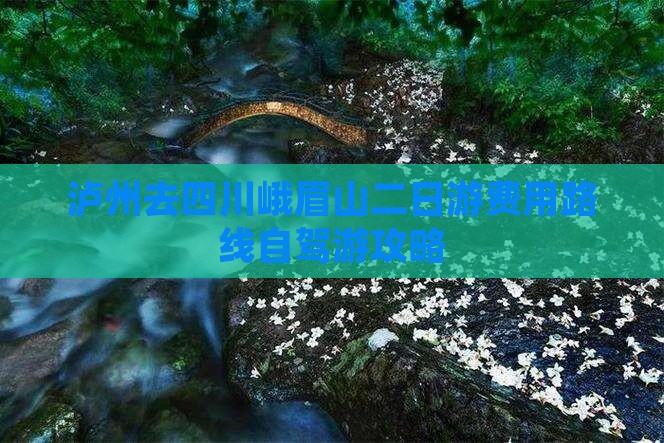 泸州去四川峨眉山二日游费用路线自驾游攻略