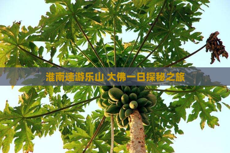 淮南速游乐山 大佛一日探秘之旅