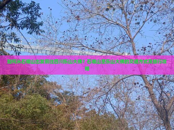 如何从石嘴山出发前往四川乐山大佛？石嘴山至乐山大佛的交通方式及旅行攻略