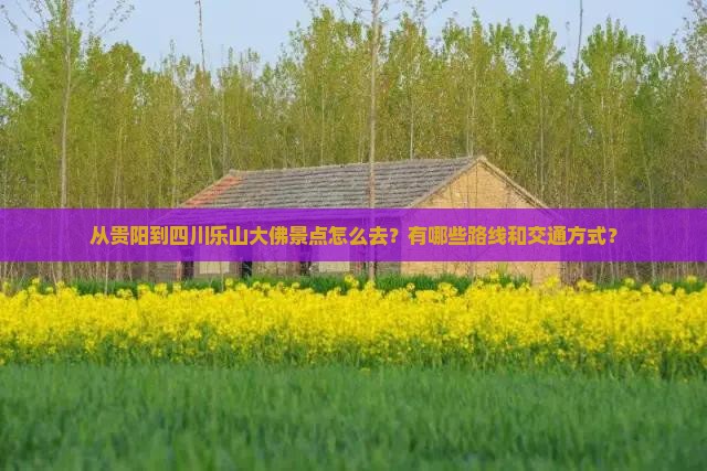 从贵阳到四川乐山大佛景点怎么去？有哪些路线和交通方式？