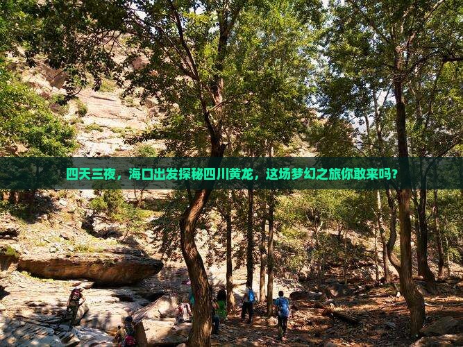 四天三夜，海口出发探秘四川黄龙，这场梦幻之旅你敢来吗？