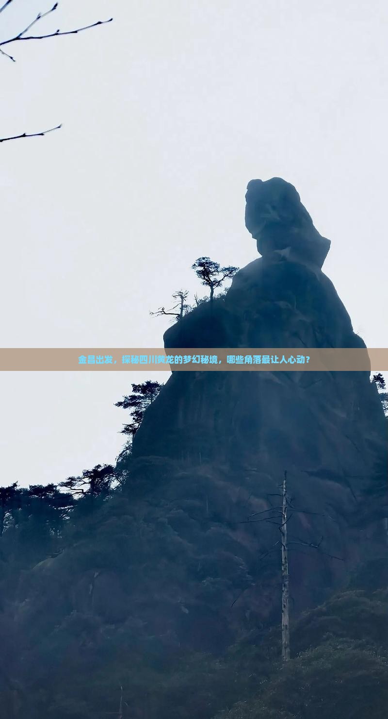 金昌出发，探秘四川黄龙的梦幻秘境，哪些角落最让人心动？
