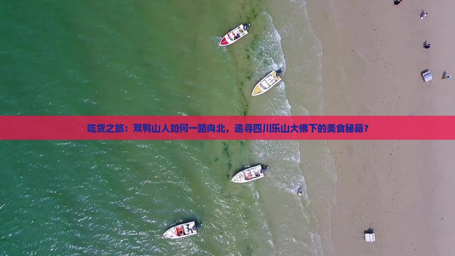 吃货之旅：双鸭山人如何一路向北，追寻四川乐山大佛下的美食秘籍？