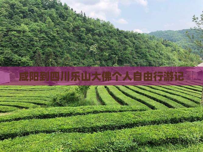 咸阳到四川乐山大佛个人自由行游记