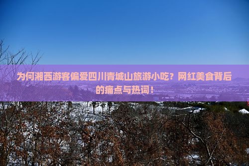 为何湘西游客偏爱四川青城山旅游小吃？网红美食背后的痛点与热词！
