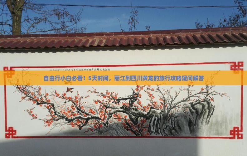 自由行小白必看！5天时间，丽江到四川黄龙的旅行攻略疑问解答