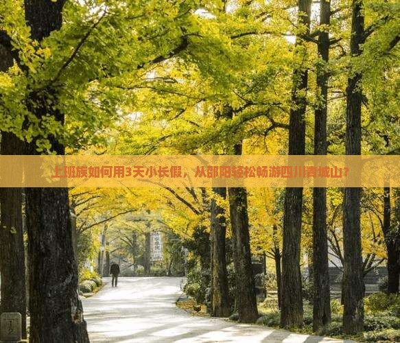 上班族如何用3天小长假，从邵阳轻松畅游四川青城山？