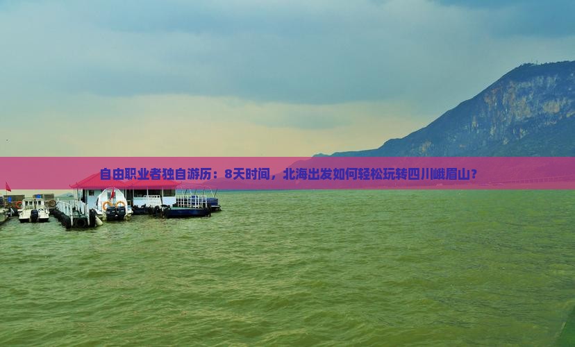 自由职业者独自游历：8天时间，北海出发如何轻松玩转四川峨眉山？