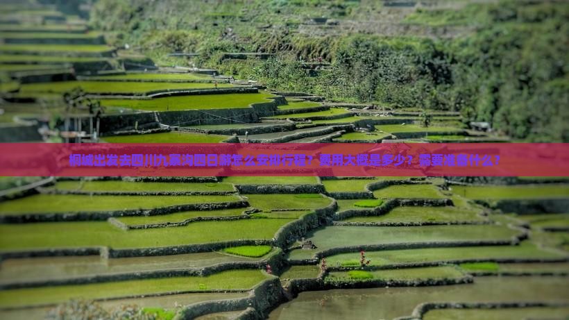 桐城出发去四川九寨沟四日游怎么安排行程？费用大概是多少？需要准备什么？