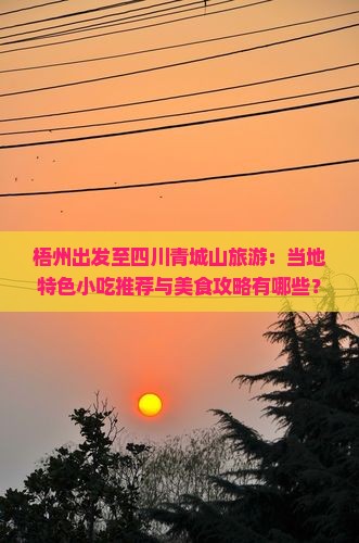 梧州出发至四川青城山旅游：当地特色小吃推荐与美食攻略有哪些？