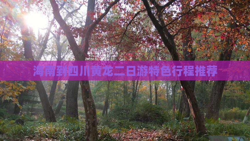 海南到四川黄龙二日游特色行程推荐