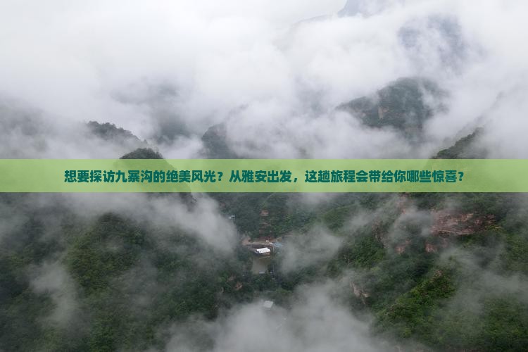 想要探访九寨沟的绝美风光？从雅安出发，这趟旅程会带给你哪些惊喜？