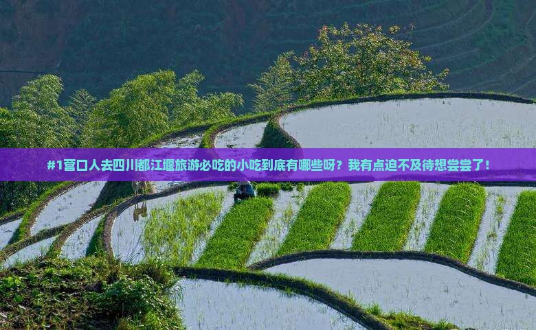 #1营口人去四川都江堰旅游必吃的小吃到底有哪些呀？我有点迫不及待想尝尝了！