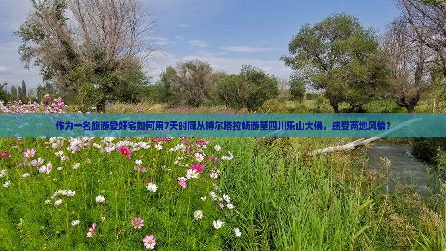 作为一名旅游爱好宅如何用7天时间从博尔塔拉畅游至四川乐山大佛，感受两地风情？