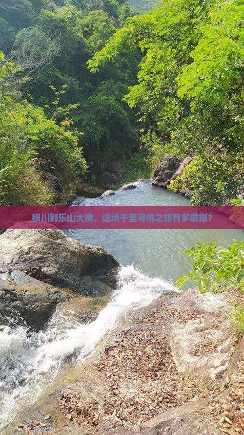 银川到乐山大佛，这场千里寻佛之旅有多震撼？