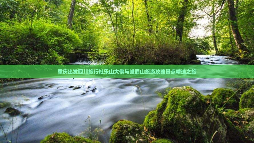 重庆出发四川旅行社乐山大佛与峨眉山旅游攻略景点精选之旅