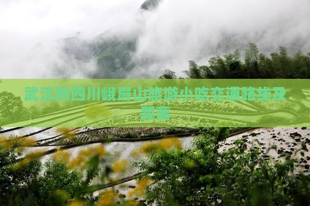 武汉到四川峨眉山旅游小吃交通路线及距离