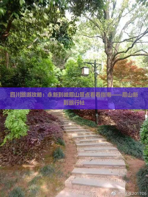四川旅游攻略：永新到峨眉山景点看看指南——眉山新到旅行社