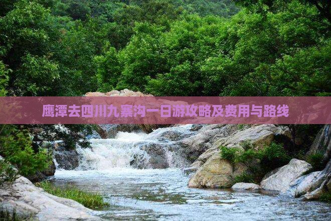 鹰潭去四川九寨沟一日游攻略及费用与路线