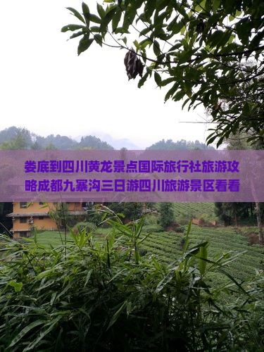娄底到四川黄龙景点国际旅行社旅游攻略成都九寨沟三日游四川旅游景区看看路线旅行