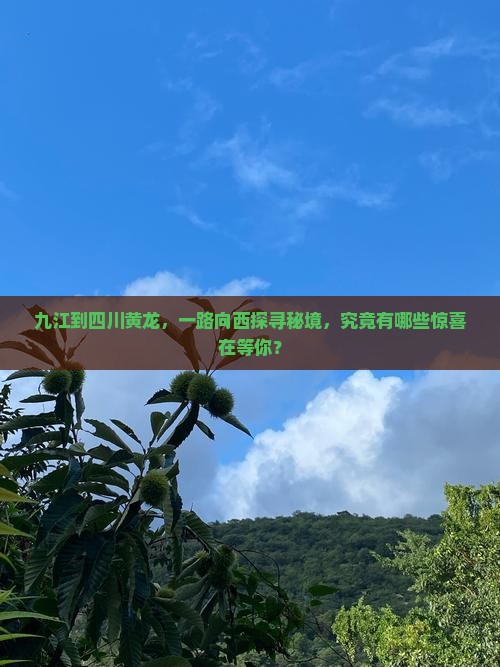 九江到四川黄龙，一路向西探寻秘境，究竟有哪些惊喜在等你？