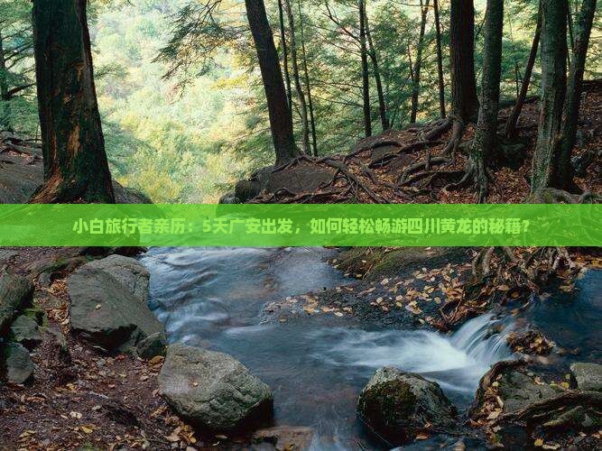 小白旅行者亲历：5天广安出发，如何轻松畅游四川黄龙的秘籍？