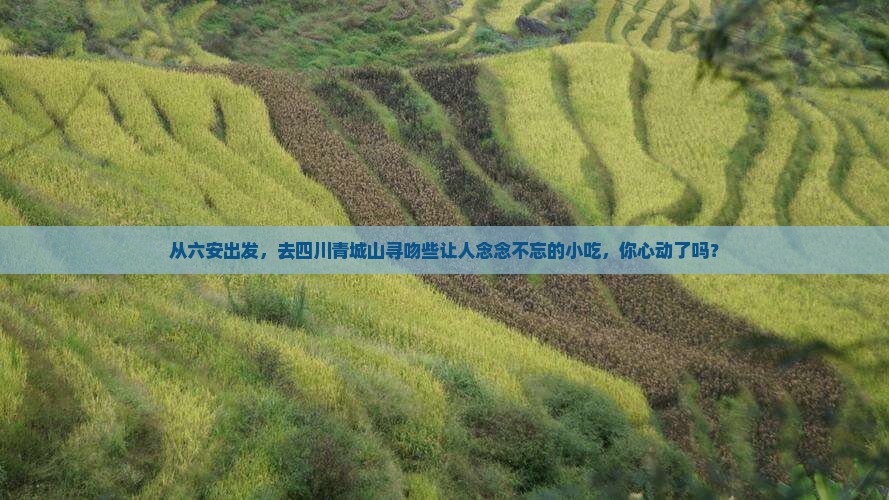从六安出发，去四川青城山寻吻些让人念念不忘的小吃，你心动了吗？