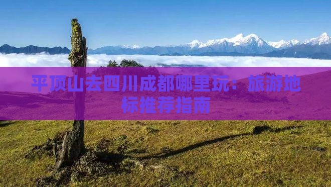 平顶山去四川成都哪里玩：旅游地标推荐指南