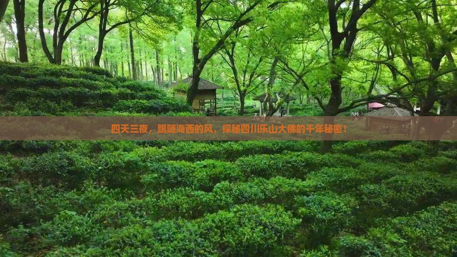 四天三夜，跟随海西的风，探秘四川乐山大佛的千年秘密！