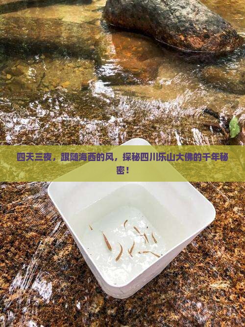 四天三夜，跟随海西的风，探秘四川乐山大佛的千年秘密！