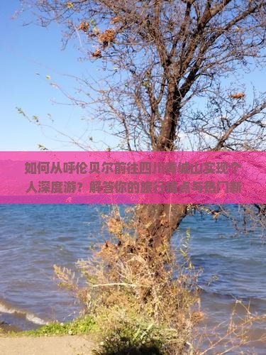 如何从呼伦贝尔前往四川青城山实现个人深度游？解答你的旅行痛点与热门新词攻略！