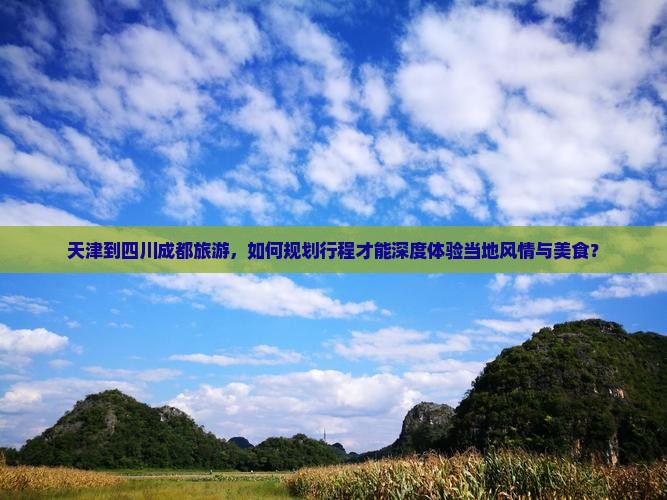 天津到四川成都旅游，如何规划行程才能深度体验当地风情与美食？