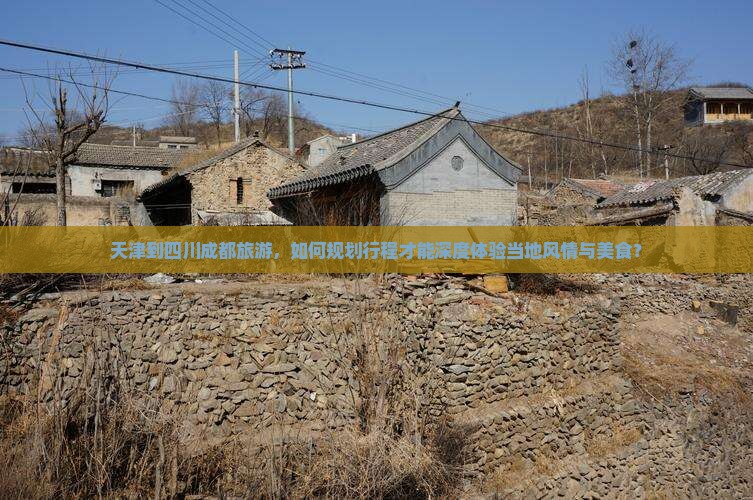 天津到四川成都旅游，如何规划行程才能深度体验当地风情与美食？