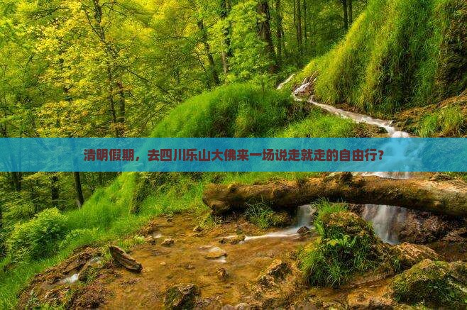 清明假期，去四川乐山大佛来一场说走就走的自由行？