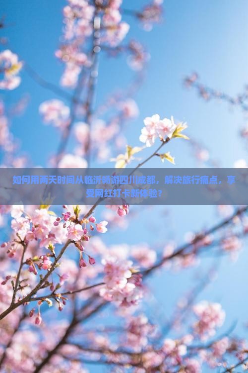 如何用两天时间从临沂畅游四川成都，解决旅行痛点，享受网红打卡新体验？