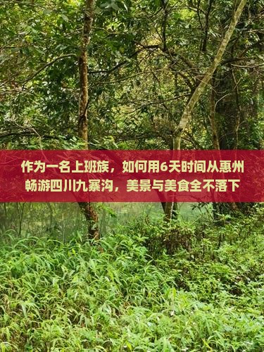 作为一名上班族，如何用6天时间从惠州畅游四川九寨沟，美景与美食全不落下？
