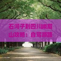 石河子到四川峨眉山攻略：自驾游路线及距离解析
