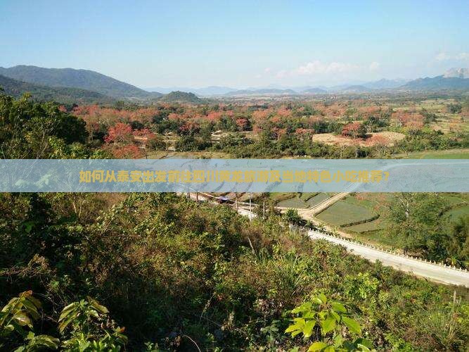 如何从泰安出发前往四川黄龙旅游及当地特色小吃推荐？