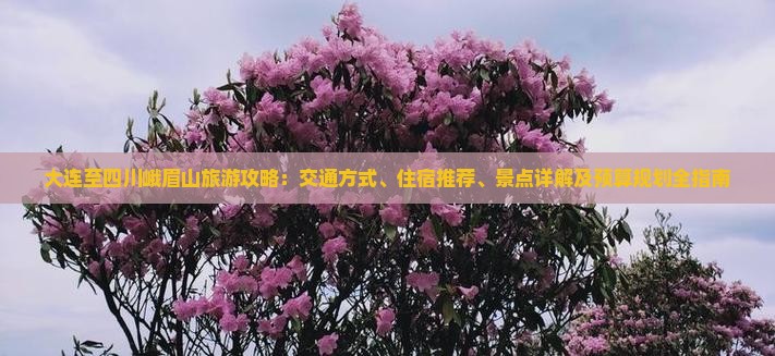 大连至四川峨眉山旅游攻略：交通方式、住宿推荐、景点详解及预算规划全指南