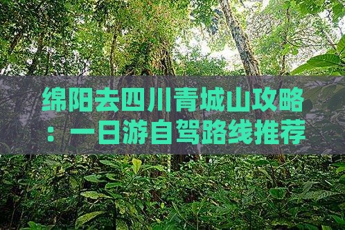 绵阳去四川青城山攻略：一日游自驾路线推荐