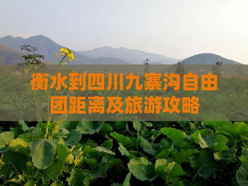 衡水到四川九寨沟自由团距离及旅游攻略