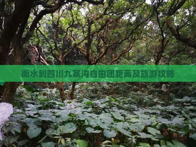 衡水到四川九寨沟自由团距离及旅游攻略