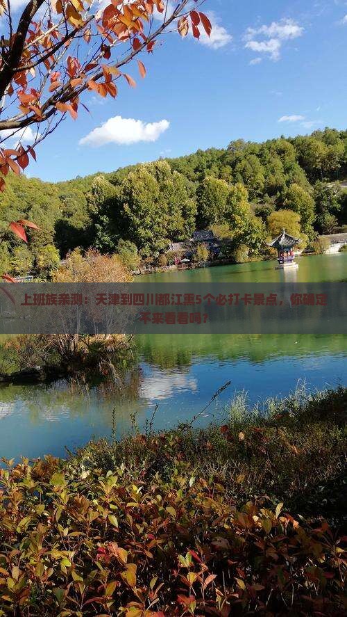 上班族亲测：天津到四川都江熏5个必打卡景点，你确定不来看看吗？