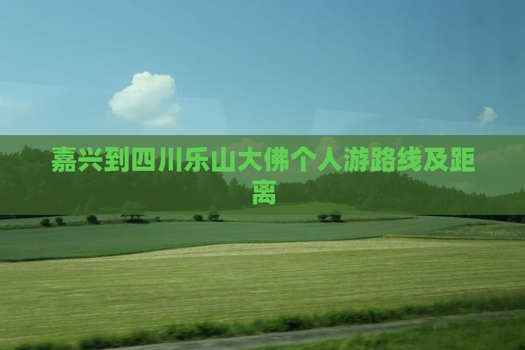 嘉兴到四川乐山大佛个人游路线及距离