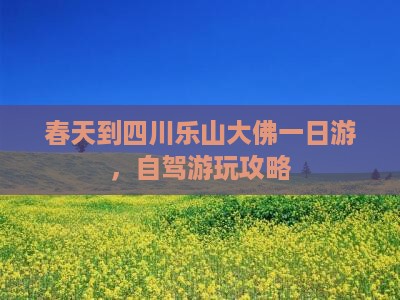 春天到四川乐山大佛一日游，自驾游玩攻略