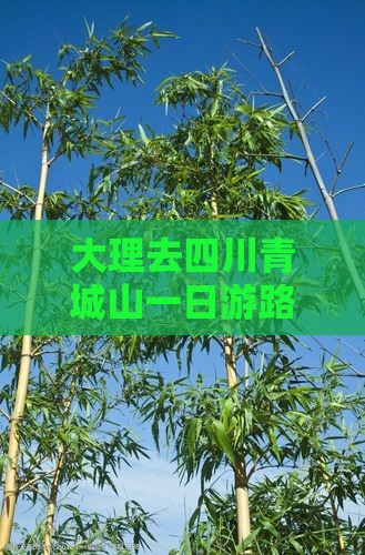 大理去四川青城山一日游路线及费用 大理去四川青城山一日游路线及费用